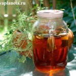 Как заварить чай без кипятка – пошаговый рецепт